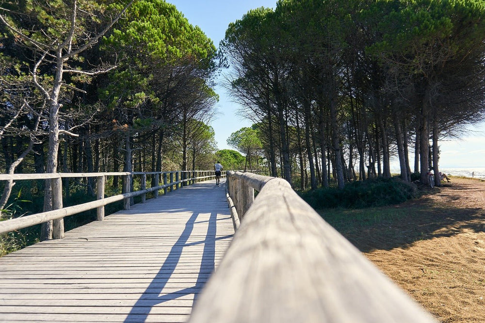 Frame of Mind: The Mental Health Benefits of Cycling